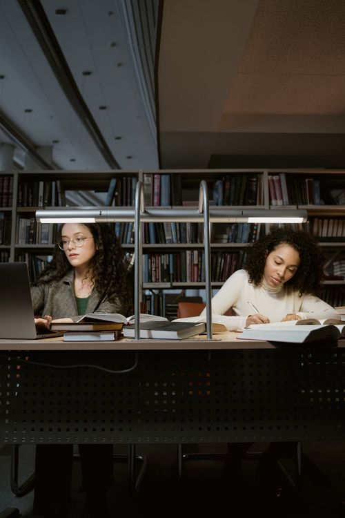 Women Researching in the Library · Free Stock Photo