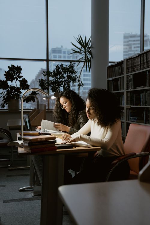 Women Researching in the Library · Free Stock Photo