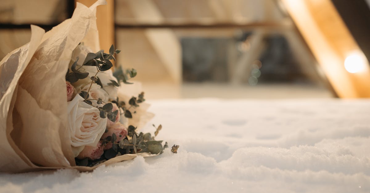 Does it snow in Scottsboro GA