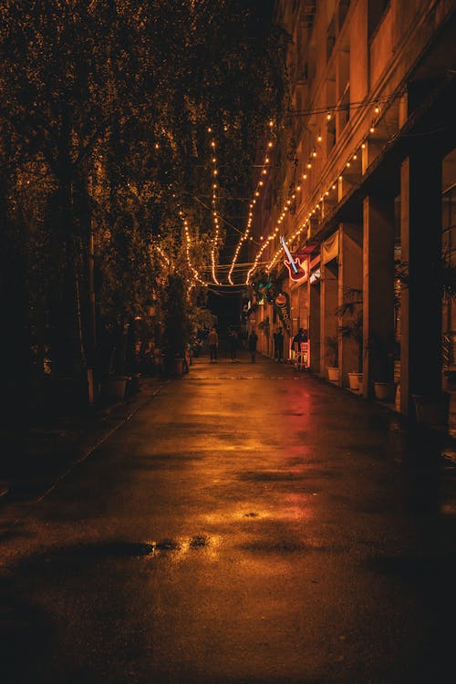 Alley Beside a Building with String Lights