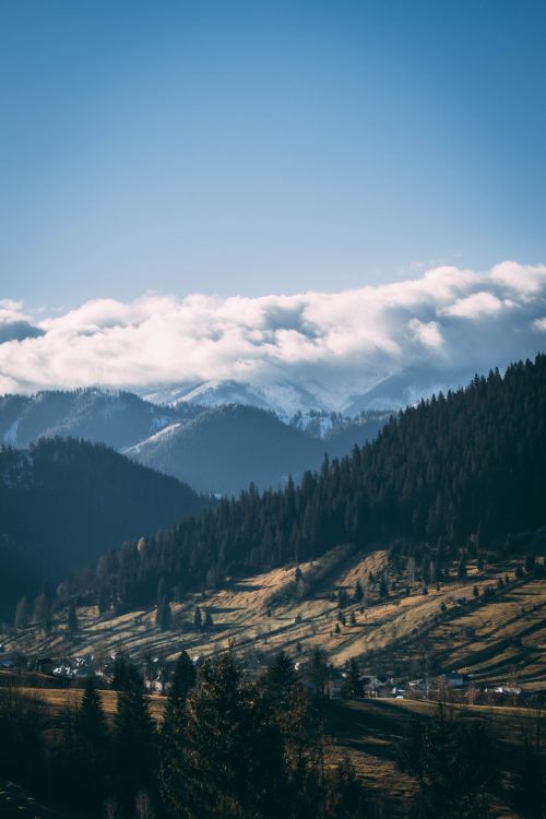 Free A breathtaking view of snow-capped mountains, dense forests, and clouds under a clear blue sky. Stock Photo