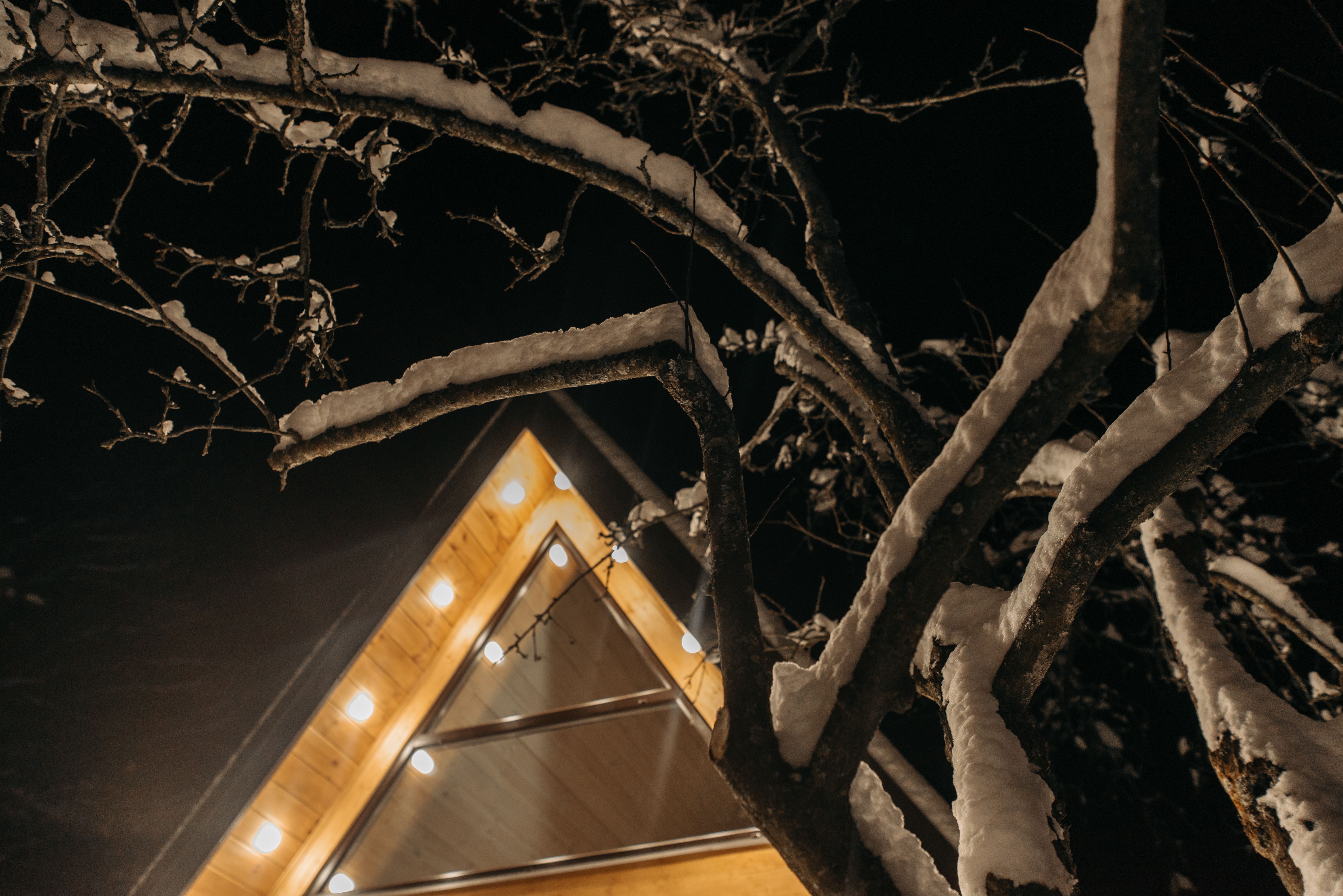 A wooden A-frame cabin roof illuminated by lights, framed by snow-laden branches at night.