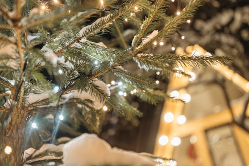 Green Christmas Tree With String Lights