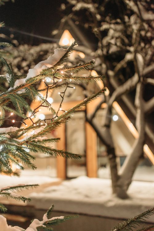 Free Snow-covered cabin and trees with twinkling lights, creating a cozy winter wonderland. Stock Photo