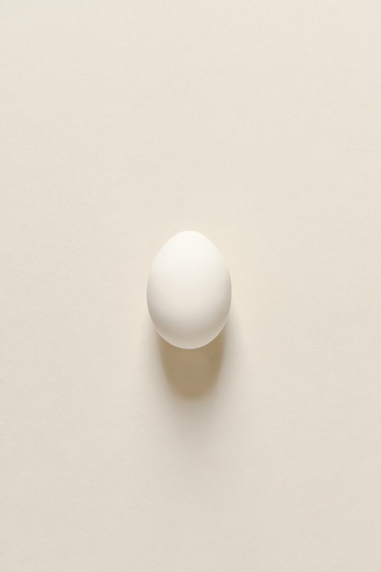 A White Egg On White Surface