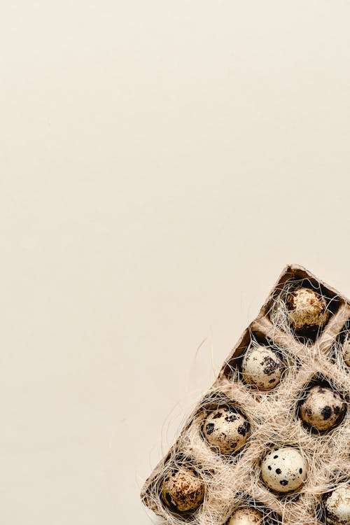 Quail Eggs in a Cardboard Box on a White Surface