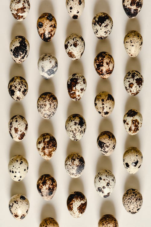 Quail Eggs Lined Up on a White Surface