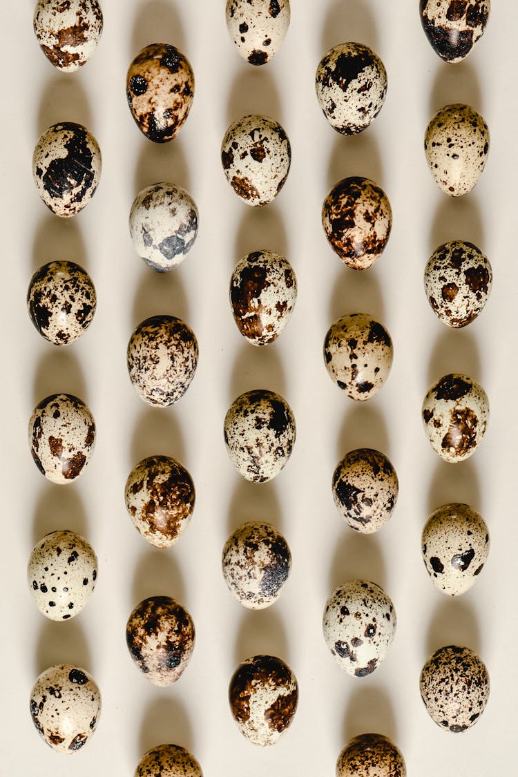 Quail Eggs Lined Up On A White Surface