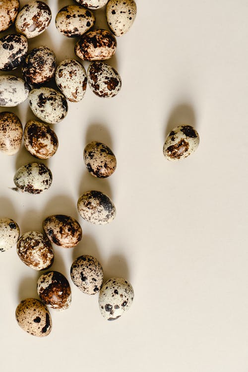 Free Quail Eggs on a Flat Surface Stock Photo