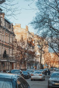 Charming urban street with bare trees and parked cars under a clear blue sky.
