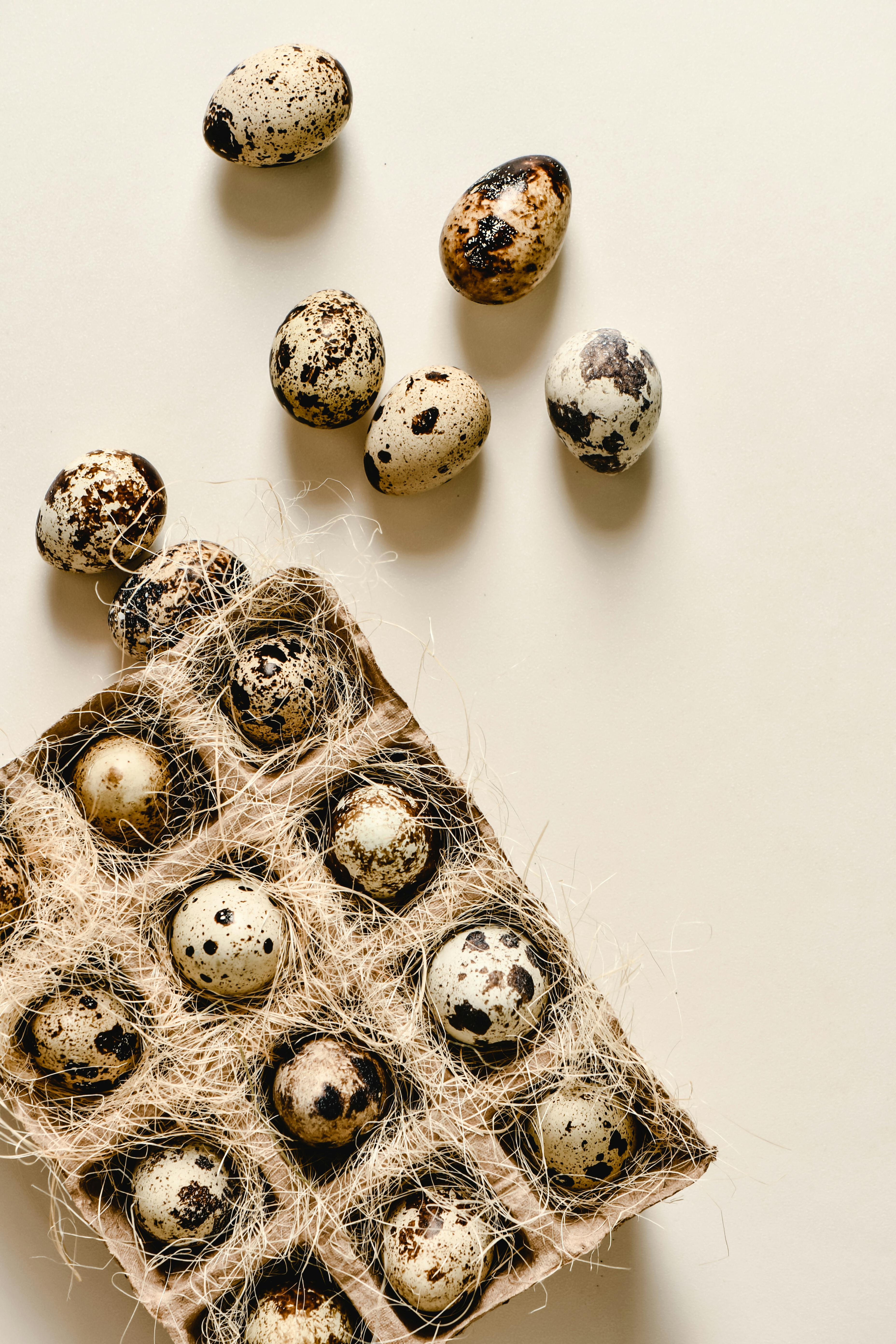 Personne réalisant l'exercice de l'insecte mort