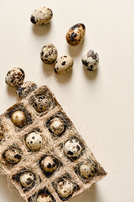 Top view of quail eggs in natural carton setting with rustic straw bedding, perfect for culinary storytelling.
