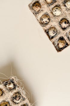 Top view of quail eggs in nest-like packaging, set against a neutral backdrop, offering organic and culinary appeal.