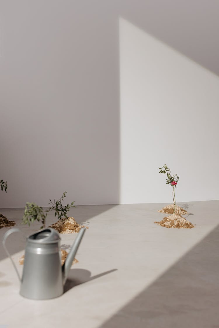 White Flowers On White Table