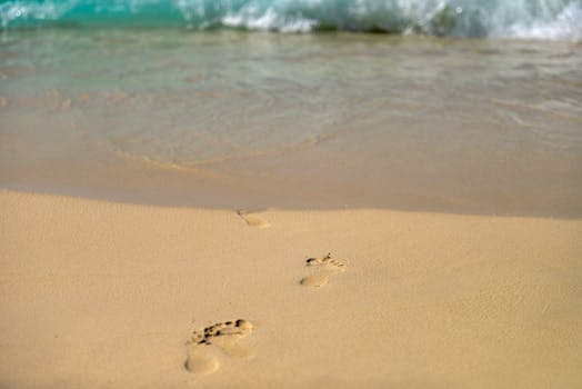 Free stock photo of sea, beach, holiday, vacation