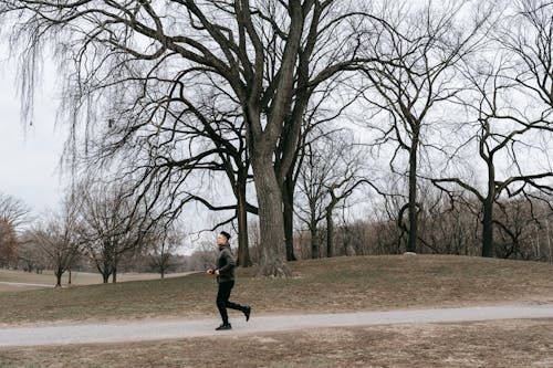Free Side view of unrecognizable young male athlete in activewear running on path near leafless trees during training in autumn park in cloudy morning Stock Photo