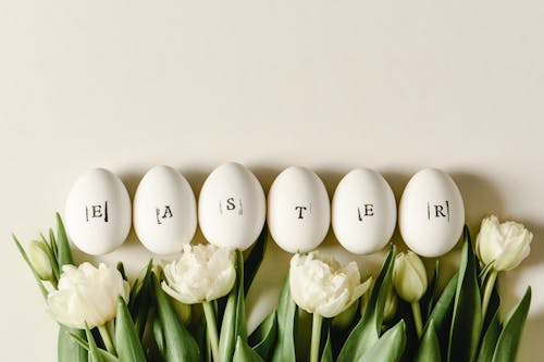 Close-Up Shot of Eggs beside White Roses