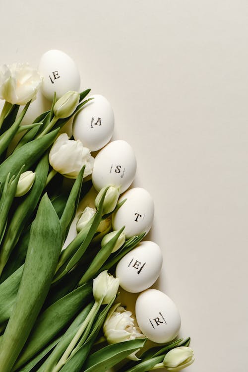 Close-Up Shot of Eggs beside White Roses
