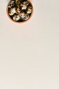 Round Brown Wooden Wall Clock