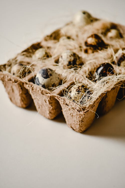 Close-Up Shot of Quail Eggs in a Tray