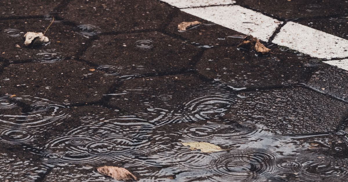 A Puddle of Water with Ripples from Rain · Free Stock Photo