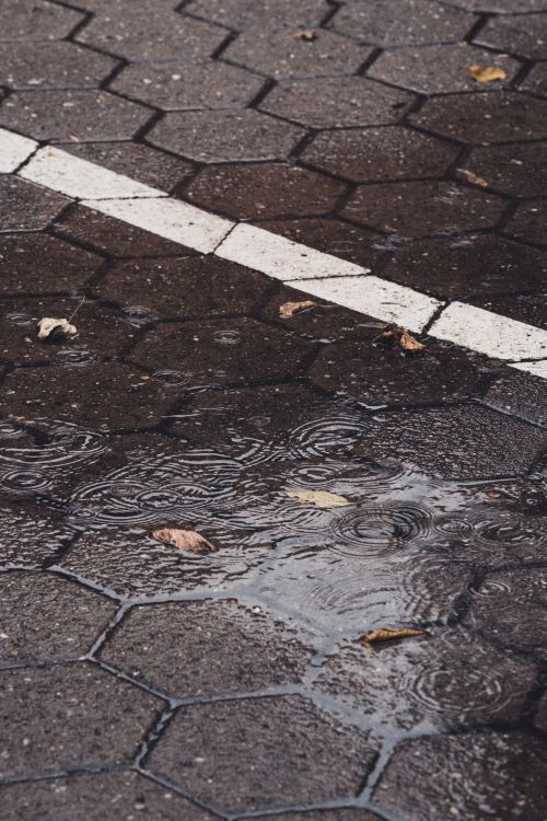 A Puddle of Water with Ripples from Rain · Free Stock Photo