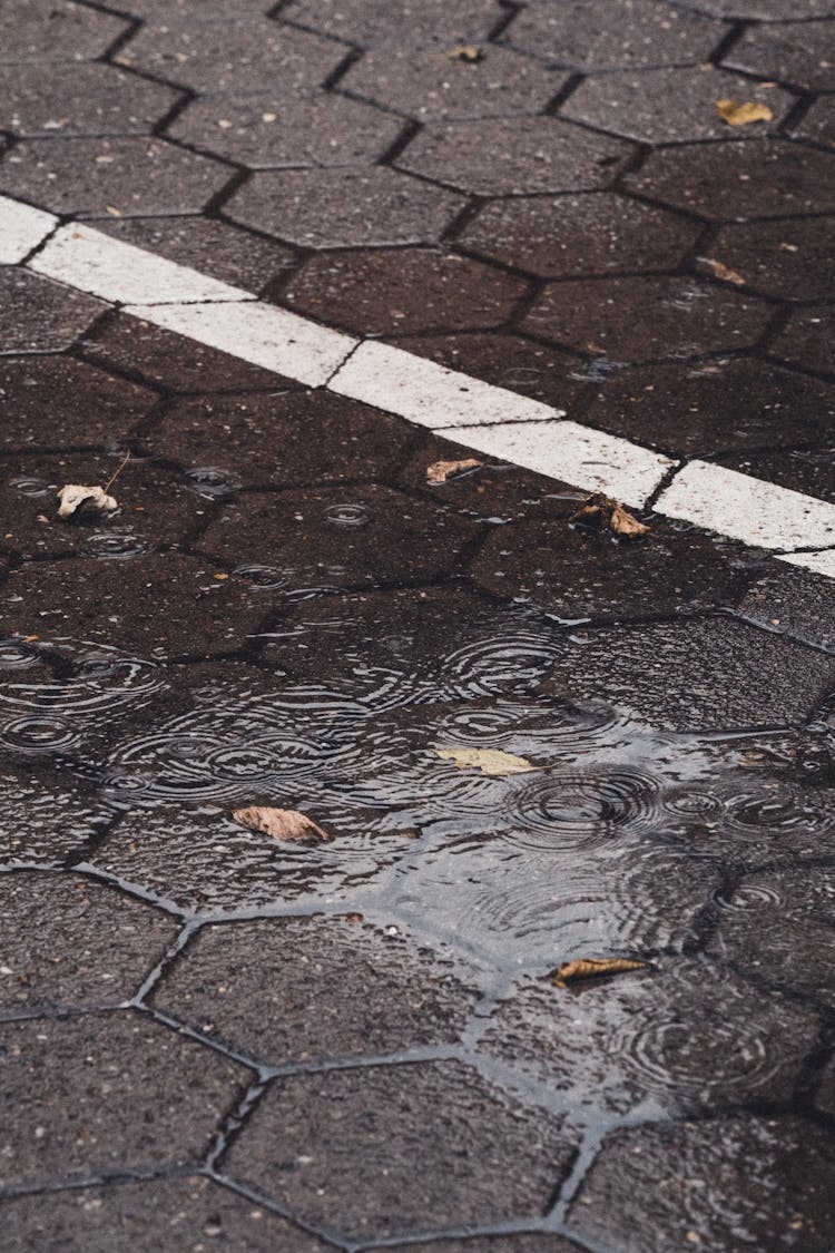 A Puddle Of Water With Ripples From Rain