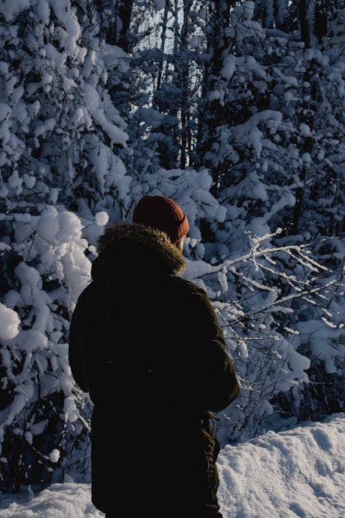 Imagine de stoc gratuită din acoperit de zăpadă, congelare, fotografiere verticală