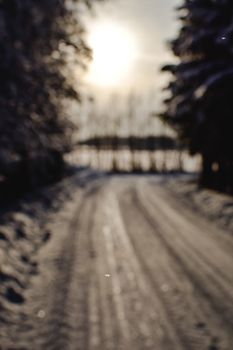 Discover a sunlit winter path through a blurry Estonian forest, capturing serene nature.