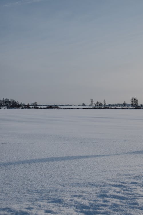 Imagine de stoc gratuită din acoperit de zăpadă, câmp, fotografiere verticală