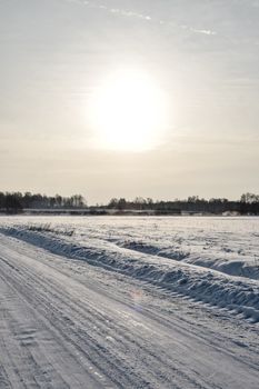 A tranquil snowy landscape in Estonia under a bright winter sun, capturing the essence of a cold season.