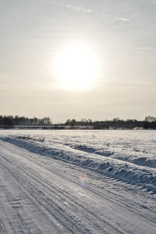 Free A tranquil snowy landscape in Estonia under a bright winter sun, capturing the essence of a cold season. Stock Photo