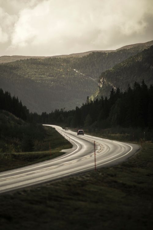 Free Winding road leading through lush mountains in Norway under a soft sky. Stock Photo