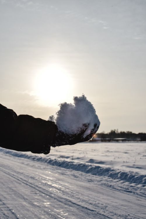 Free A hand holding a snowball against a winter sunset backdrop in Estonia. Stock Photo