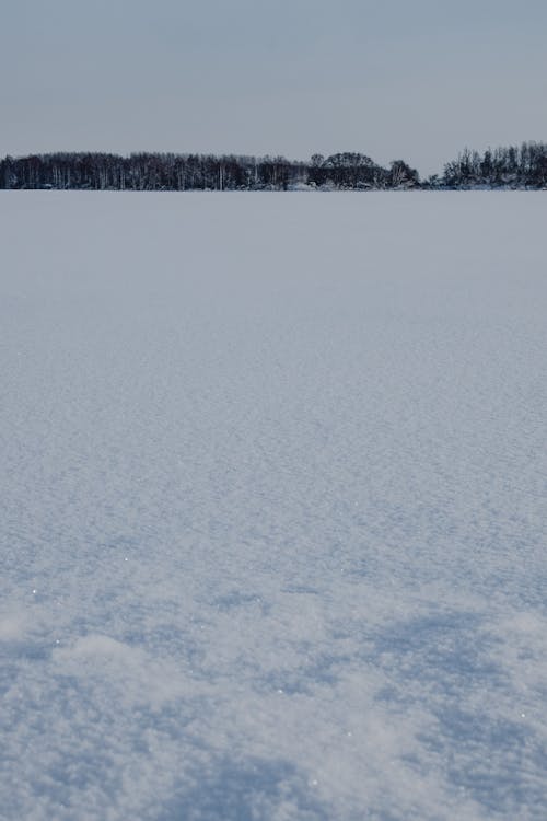 Immagine gratuita di campo, coperto di neve, innevato