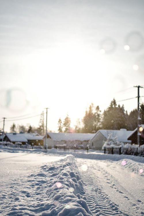 Snow-Covered Houses in a Village