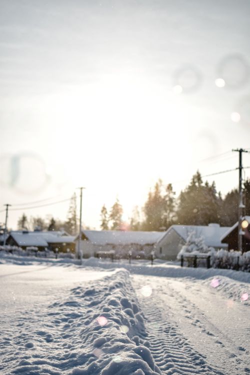 Free A serene winter scene in rural Estonia with snowy fields and distant houses. Stock Photo
