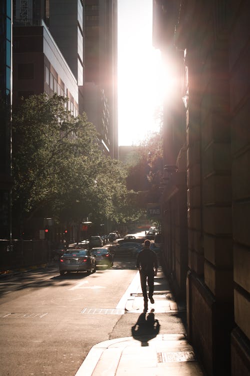 A Person Walking on the Sidewalk