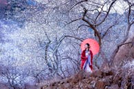 Woman with Umbrella in Park