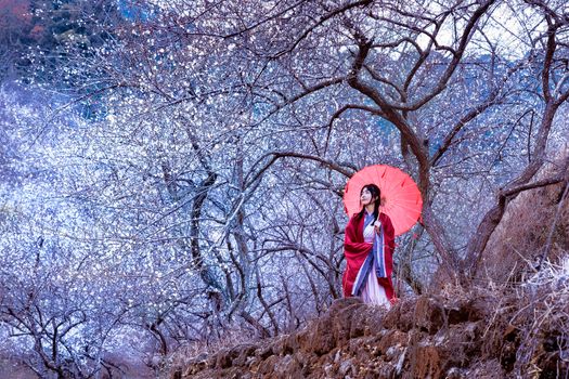 A woman in traditional dress stands under cherry blossoms, holding a red parasol in a vibrant forest.
