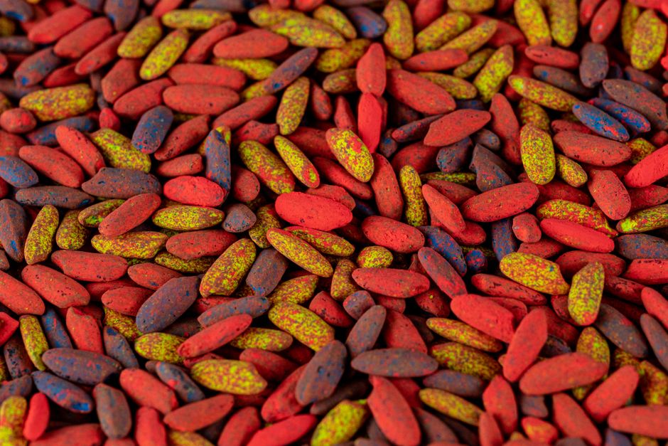 red_yeast_rice