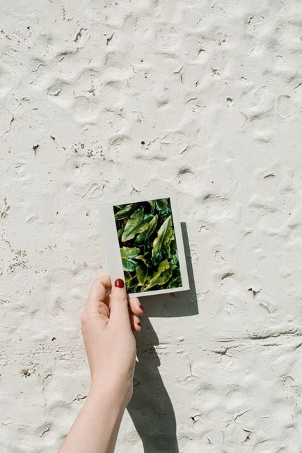 A hand holding a green leaf photograph against a textured wall, capturing a mix of nature and art.