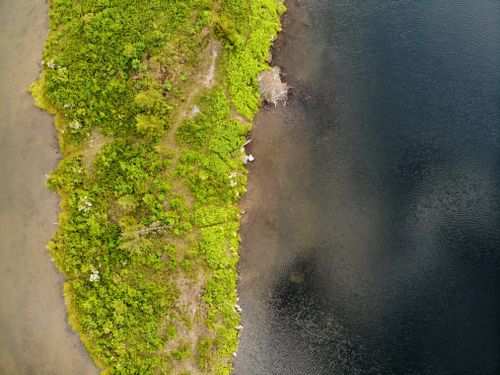 Free Drone view of lush green shoreline and water in Walpack Township, NJ. Stock Photo