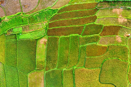 Free Aerial view of lush green rice terraces in Rumpin, West Java, Indonesia. Stock Photo