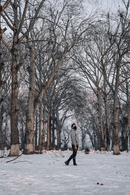 Man in Gray Hoodie Standing on Snow Covered Ground With Bare Trees