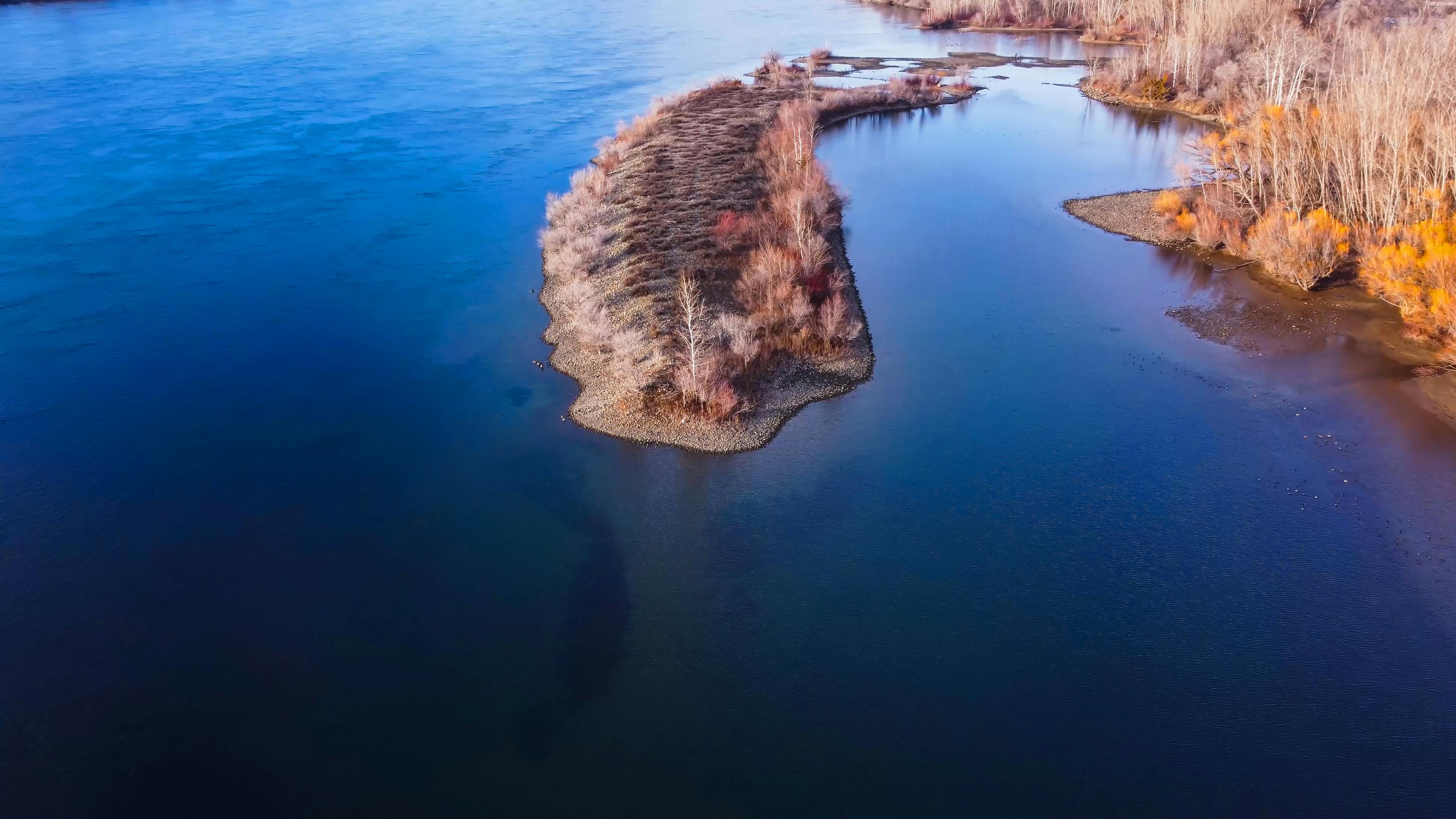 streaming discovery channel free — Photo by Frank Cone on Pexels