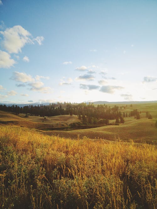 Δωρεάν στοκ φωτογραφιών με αγρόκτημα, αυγή, γαλάζιος ουρανός Φωτογραφία από στοκ φωτογραφιών