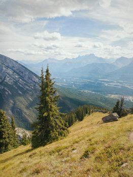 Stunning view of the Canadian Rockies with lush greenery and mountain peaks.