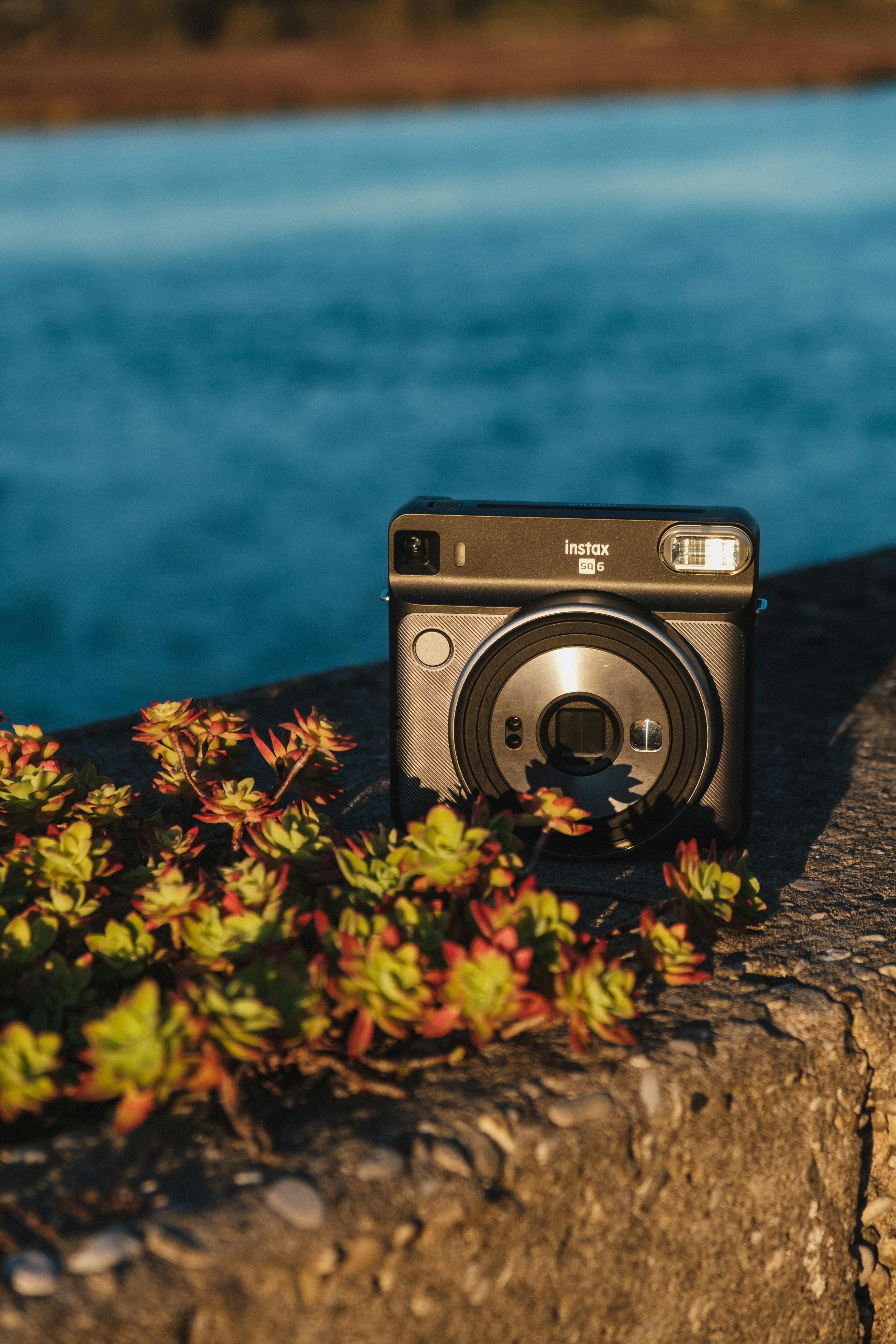 A close-up of an instant camera with a succulent plant by a riverside in natural light.