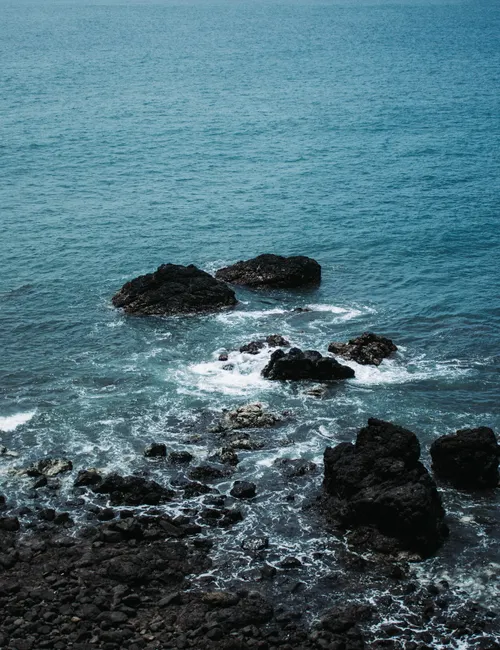 The Ultimate Guide to the Best Time to Visit Costa Rica